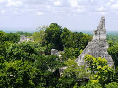 Die beeindruckenden Ruinen von Tikal ragen majestätisch aus dem dichten Dschungel, umgeben von üppigem Grün und Bäumen.