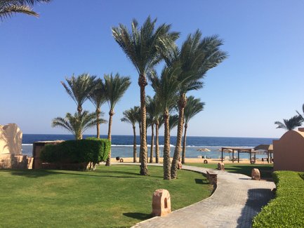 Gartenweg mit Palmen im Radisson Blu Resort El Quseir – Ägypten Reise mit Kindern
