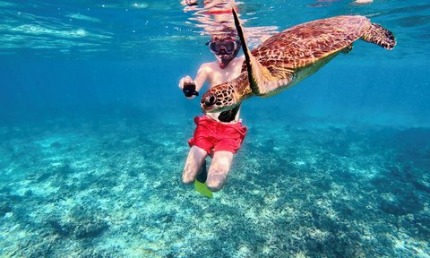 Junge entdeckt eine Meeresschildkröte unter Wasser im Oman – Oman Familienreise