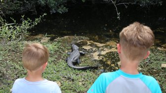 Zwei Kinder beobachten fasziniert einen Alligator, der sich am Ufer eines Gewässers sonnt, umgeben von üppigem Grün.