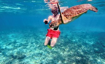 Junge entdeckt eine Meeresschildkröte unter Wasser im Oman – Oman Familienreise