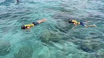 Zwei Kinder in Schwimmwesten schnorcheln im klaren Wasser, während ein weiteres Kind im Hintergrund schwimmt.
