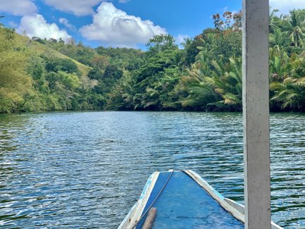 Ein ruhiger Fluss schlängelt sich durch üppige grüne Landschaften, umgeben von hohen Palmen und sanften Hügeln.