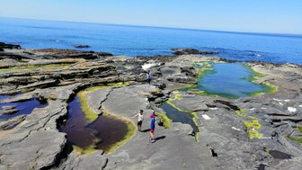 Drei Personen erkunden die felsige Küste mit kleinen Wasserpools und grünem Algenbewuchs unter strahlend blauem Himmel.