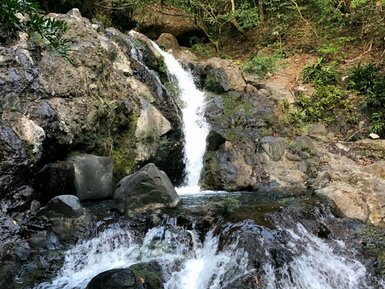 Ein glitzernder Wasserfall stürzt über bemooste Felsen, umgeben von üppigem grünem Wald und sanften, sprudelnden Bächen.