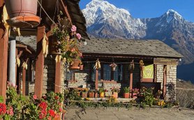 Eine malerische Berghütte in Ghandruk, umgeben von blühenden Pflanzen und majestätischen schneebedeckten Gipfeln im Hintergrund.