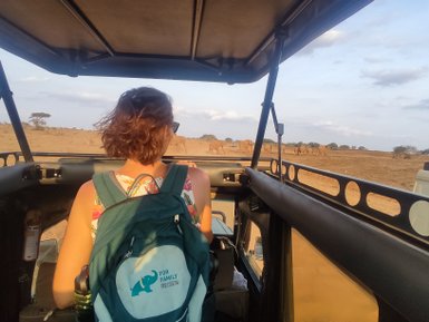 Eine Frau mit lockigem Haar sitzt in einem Geländewagen und beobachtet eine Gruppe von Elefanten in der Savanne.