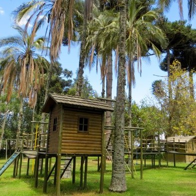 Ein Spielplatz mit mehreren Holzspielhäusern, umgeben von hohen Palmen und grünem Gras, strahlt eine einladende Atmosphäre aus.