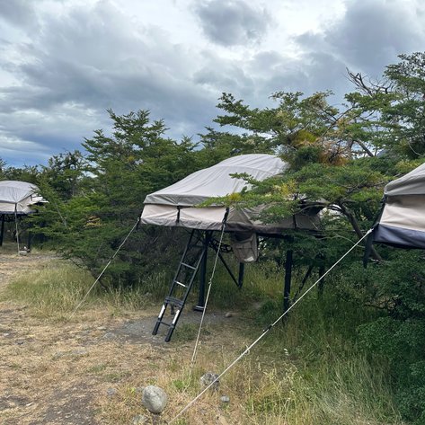 Drei erhöhte Zelte stehen in einer grünen Umgebung, umgeben von Bäumen und Gras, unter einem bewölkten Himmel.