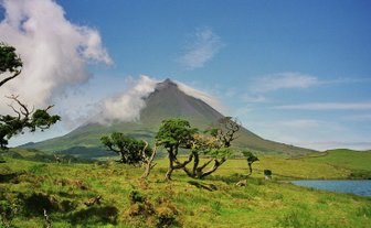 Ein majestätischer Vulkan erhebt sich unter einem klaren blauen Himmel, umgeben von üppigem, grünem Gras und vereinzelten Bäumen.