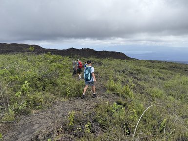 Eine Gruppe von Wanderern erkundet die vulkanische Landschaft mit üppigem Grün und dunklem Lavagestein im Hintergrund.