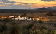 Afrikanische Savannenlandschaft bei Sonnenuntergang - Kenia Family & Teens - Kenia mit Jugendlichen