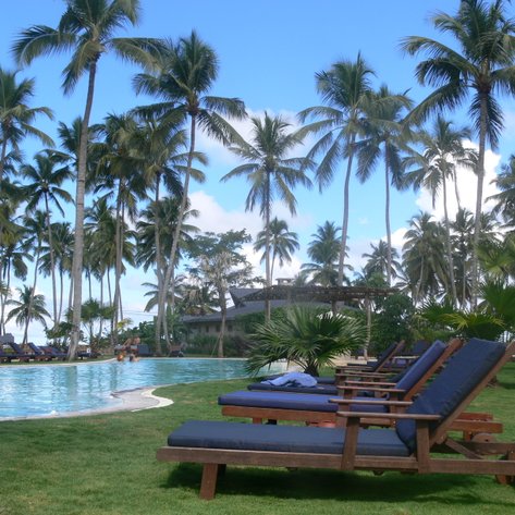 Entspannte Liegen am Pool umgeben von hohen Palmen und einem klaren blauen Himmel, ideal für einen sonnigen Tag.