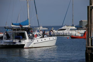Boote im Wasser mit Menschen und Pelikanen - Namibia Familienurlaub