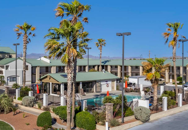 Ein sonniger Außenbereich eines Hotels mit einem Pool, umgeben von Palmen und gepflegten Pflanzen.