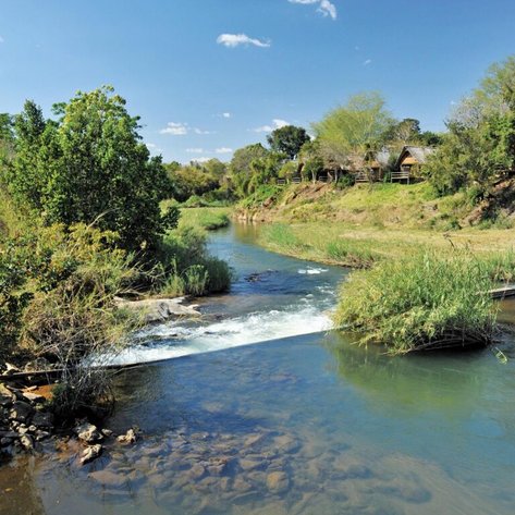 Ein ruhiger Fluss fließt durch eine grüne Landschaft, umgeben von Bäumen und einem klaren blauen Himmel.