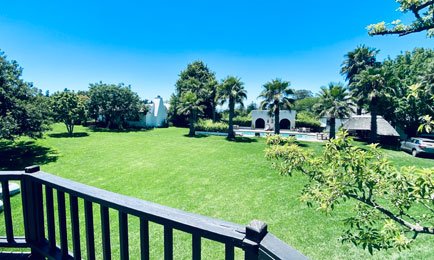 Ein weitläufiger Garten mit üppigem Grün, Palmen und einem einladenden Pool im Hintergrund unter strahlend blauem Himmel.