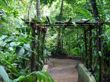 Pfad führt durch den tropischen Gewürzgarten – Sri Lanka Reise mit Kindern