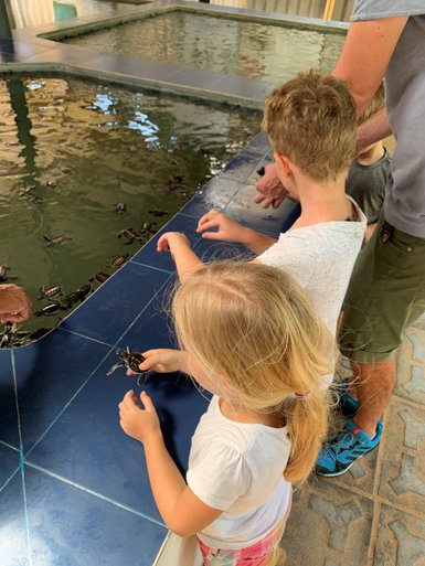 Kinder erleben die Begegnung mit Baby-Schildkröten in der Aufzuchtstation in Bentota hautnah – Sri Lanka mit Kindern
