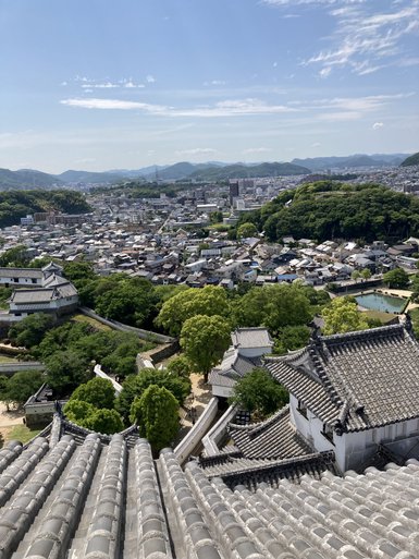 Blick von einem historischen Schlossdach auf eine weitläufige Stadtlandschaft mit grünen Hügeln im Hintergrund.