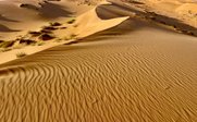 Sanfte Sanddünen erstrecken sich unter einem klaren Himmel, mit feinen Wellenmustern im goldenen Sand.