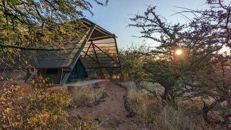 Ein modernes Zelt in der Natur, umgeben von trockenen Sträuchern und Bäumen, während die Sonne am Horizont aufgeht.