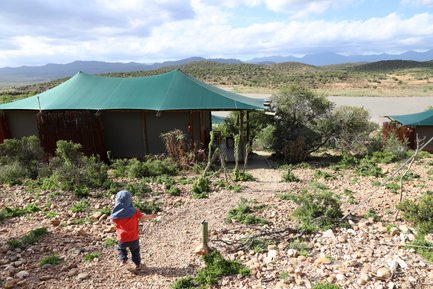 Fröhliches Kind läuft auf ein Safarizelt in der Buffelsdrift Game Lodge zu – Garden Route Reise mit Kindern