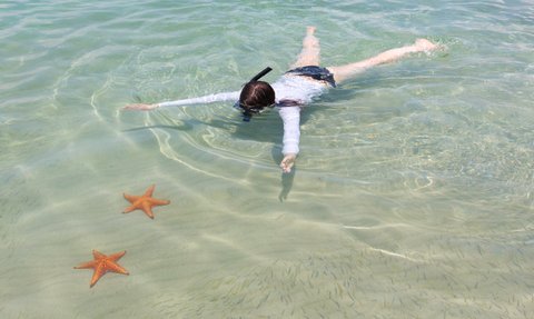 Eine Person schwimmt im klaren Wasser, während orangefarbene Seesterne im Sand liegen.