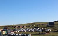 Eine weite Landschaft mit mehreren Jurten, die in einer grünen Hügellandschaft unter einem klaren blauen Himmel stehen.