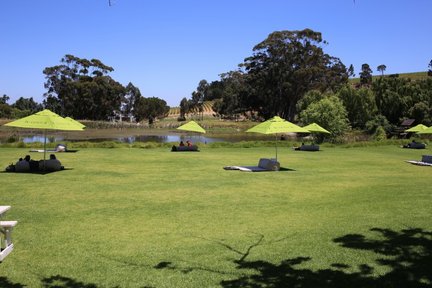 Ruhiger Moment im Grünen auf einem Weingut in Stellenbosch – Garden Route Familienreise
