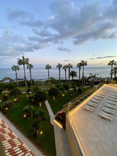 Ein Blick auf einen Garten mit Palmen und Liegen, der sanft ins Meer übergeht, unter einem bewölkten Himmel.