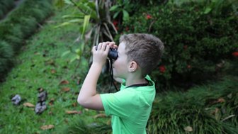 Junge erkundet die Natur mit Fernglas in der Maquenque Eco Lodge – Familienreise Costa Rica