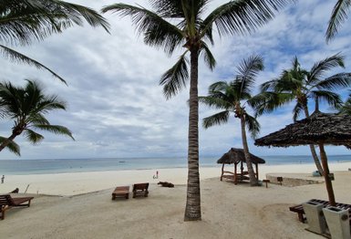 Ein ruhiger Strand mit feinem Sand, umgeben von Palmen und einem Blick auf das glitzernde Wasser des Ozeans.