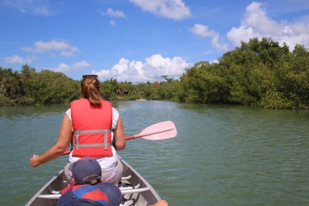 Eine Person in einem roten Schwimmwesten paddelt in einem Kanu durch ruhiges, grünes Wasser, umgeben von üppiger Vegetation.