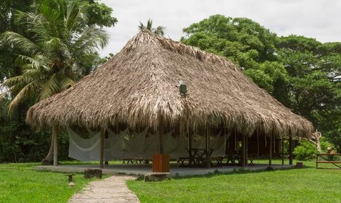 Ein traditionelles Strohdachhaus steht inmitten üppiger grüner Vegetation, umgeben von Palmen und einem gepflegten Rasen.