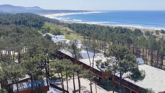 Eine Luftaufnahme zeigt ein modernes Hotel inmitten von Kiefern, mit Blick auf den Strand und das blaue Meer im Hintergrund.