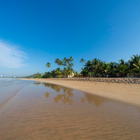 Ein ruhiger Strand mit sanften Wellen, umgeben von üppigen Palmen und klarem, blauem Himmel, der eine friedliche Atmosphäre schafft.