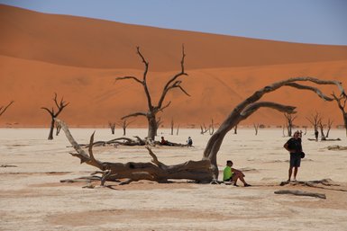 Eine Reisegruppe sitzt im Schatten von trockenen Bäumen in einer Wüstenlandschaft - Namibia Reise mit Kindern