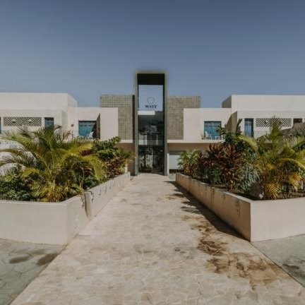 Ein modernes Gebäude mit großen Fenstern und einem klaren Eingang, umgeben von üppigem Grün und einem gepflasterten Weg.