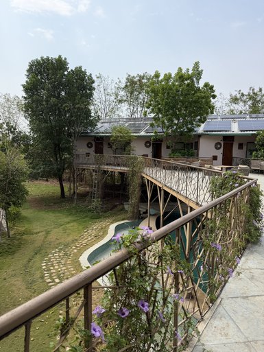 Ein Blick auf ein modernes Campzimmer im Dschungel, umgeben von üppigem Grün und einem kleinen Pool.