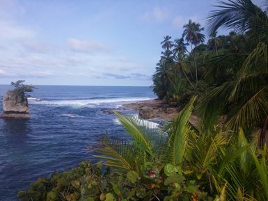 Wellen treffen auf die grüne Küstenvegetation bei Puerto Viejo – Costa Rica Familienreise