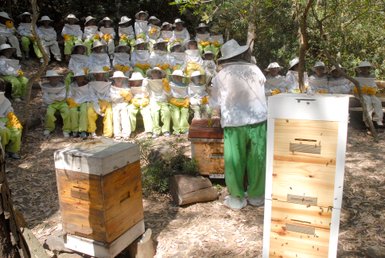 Eine Gruppe von Kindern in Schutzkleidung sitzt aufmerksam, während ein Imker ihnen über Bienen und Honig erzählt.