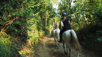 Zwei Reiterinnen auf weißen Pferden reiten einen schmalen, von Bäumen gesäumten Weg in der Natur.