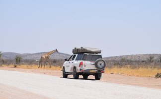 Ein Jeep mit Dachzelt steht vor einer Giraffe - Namibia Familienurlaub