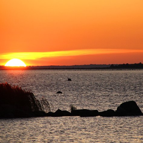 Ein atemberaubender Sonnenuntergang über dem ruhigen Wasser, mit orangefarbenem Himmel und sanften Wellen im Vordergrund.
