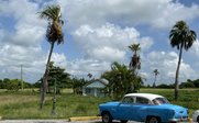 Ein blauer Oldtimer parkt auf einem Schotterplatz, umgeben von hohen Palmen und einem klaren Himmel mit Wolken.