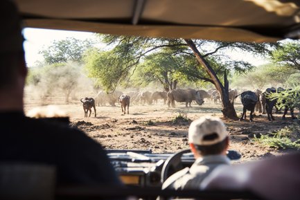 Safari-Jeep auf spannender Pirschfahrt durch die Wildnis nahe Hoedspruit – Südafrika mit Kindern