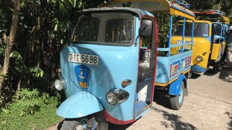 Ein hellblauer Tuk-Tuk steht auf einem gepflasterten Weg, umgeben von üppigem Grün und tropischen Pflanzen.