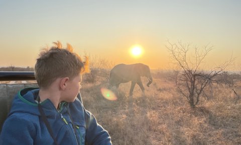 Kind sitzt im Safari-Jeep bei Sonnenuntergang und blickt auf einen Elefanten im Hintergrund – Südafrika Reise mit Kindern