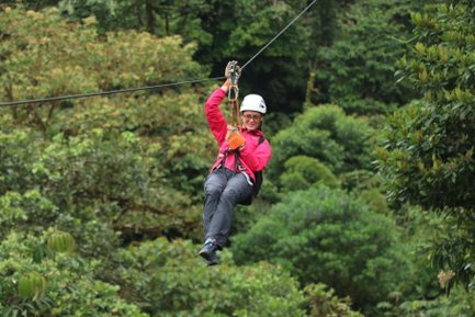Frau gleitet sicher durch die Baumkronen beim Ziplining – Costa Rica Reise mit Kindern
